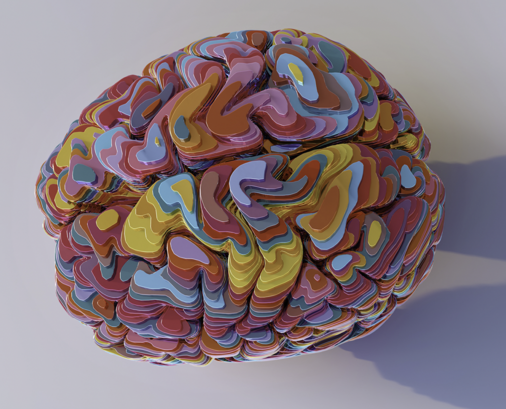 a painting of the human brain